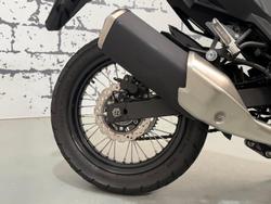 2020 Kawasaki Versys-X 300 SE (KLE300C) Versys Grey