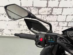 2020 Kawasaki Versys-X 300 SE (KLE300C) Versys Grey