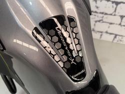 2020 Kawasaki Versys-X 300 SE (KLE300C) Versys Grey