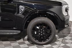 2025 Ford Everest Sport