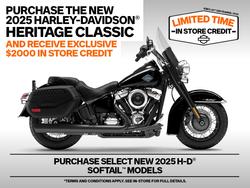 Harley-Davidson FLHC Heritage Classic (117)