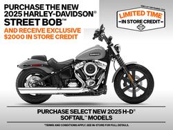Harley-Davidson FXBB Street BOB (117)