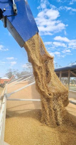 Davimac 35T Dual Axle Chaser Bin