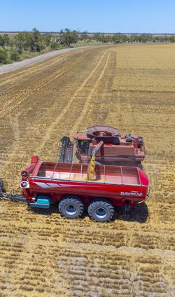 Davimac 35T Dual Axle Chaser Bin