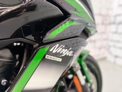 2021 Kawasaki Ninja 1000SX Ninja Green