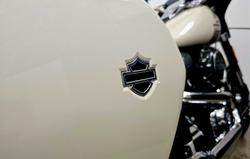 2022 Harley-Davidson Sport Glide 107 (FLSB) Softail White
