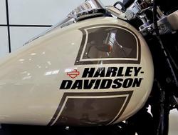 2022 Harley-Davidson Sport Glide 107 (FLSB) Softail White