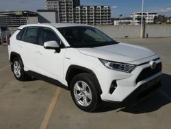 2019 Toyota
                RAV4 GX