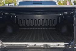 2025 GWM Cannon Alpha Ultra