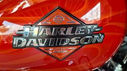 2025 Harley-davidson FLHX STREET GLIDE (117) WHSKEY FIRSTORM