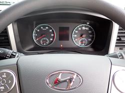 2025 HYUNDAI
                EX10 ELWB