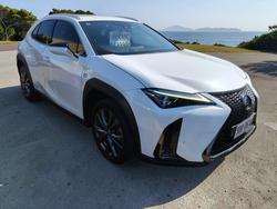 2020 Lexus UX UX250h F Sport