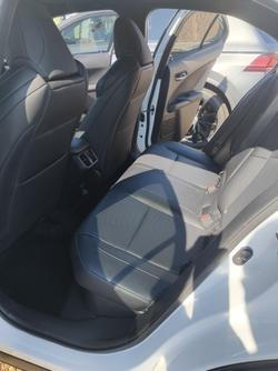 2020 Lexus UX UX250h F Sport