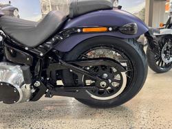 2025 Harley-Davidson Street Bob 117 (FXBB) Softail Purple