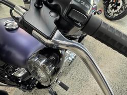 2025 Harley-Davidson Street Bob 117 (FXBB) Softail Purple
