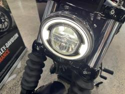 2025 Harley-Davidson Street Bob 117 (FXBB) Softail Purple