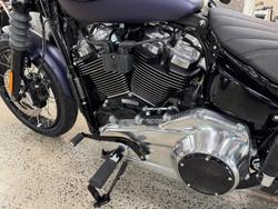 2025 Harley-Davidson Street Bob 117 (FXBB) Softail Purple