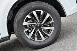 2025 GWM Cannon Premium