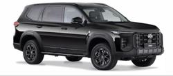 2025 LDV
                D90 Executive