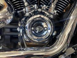 2020 Harley-Davidson Fat Boy 114 (FLFBS) Softail Black