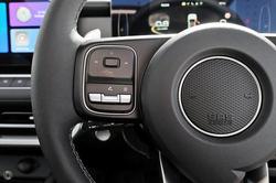 2025 GWM Cannon Vanta