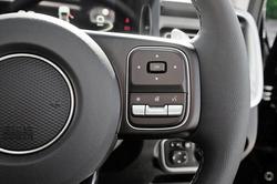 2025 GWM Cannon Vanta