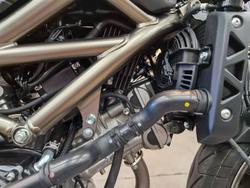 2024 Suzuki SV650 GREY