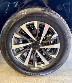 2025 GWM Cannon Premium