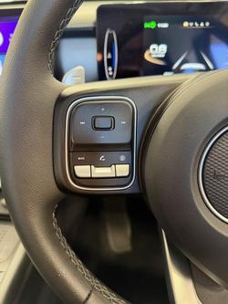 2025 GWM Cannon Premium