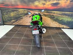 2025 Kawasaki 2025 Kawasaki 500CC Ninja 500 SE LAMS GREEN