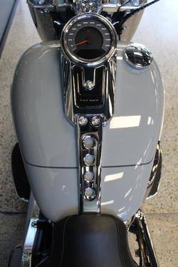 2025 Harley-davidson FLFB FAT BOY (117) billiard gray