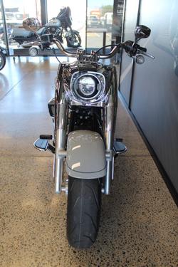 2025 Harley-davidson FLFB FAT BOY (117) billiard gray