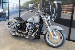 2025 Harley-davidson FLFB FAT BOY (117) billiard gray
