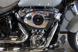 2025 Harley-davidson FLFB FAT BOY (117) billiard gray