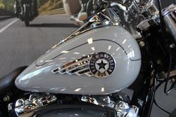 2025 Harley-davidson FLFB FAT BOY (117) billiard gray
