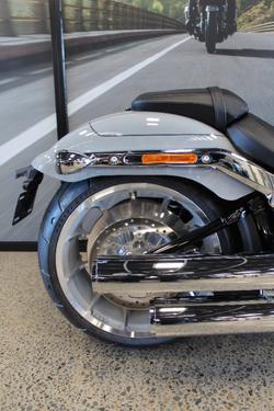 2025 Harley-davidson FLFB FAT BOY (117) billiard gray
