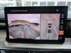 2025 GWM
                Cannon Alpha Lux PHEV