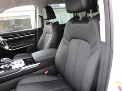 2025 GWM
                Cannon Alpha Lux PHEV