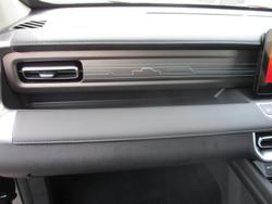 2025 GWM Cannon Vanta