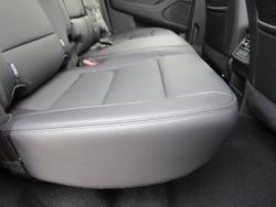 2025 GWM Cannon Vanta