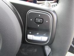 2025 GWM Cannon Vanta