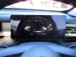 2025 GWM Cannon Premium