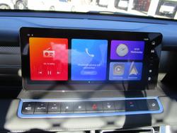 2025 GWM Cannon Premium