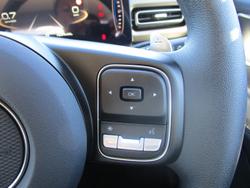 2025 GWM Cannon Premium