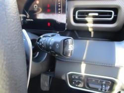 2025 GWM Cannon Premium