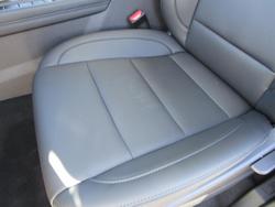 2025 GWM Cannon Premium