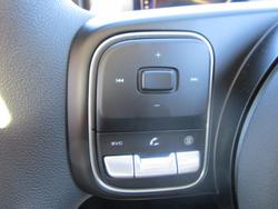 2025 GWM Cannon Premium