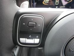 2025 GWM Cannon Vanta