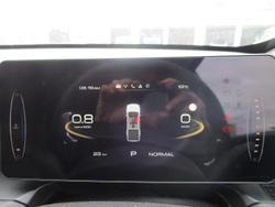 2025 GWM Cannon Vanta