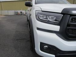 2025 GWM Cannon Vanta